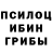 Псилоцибиновые грибы Psilocybine cubensis Sabaka Play