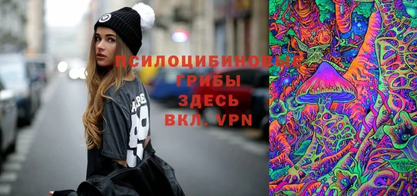 молекула духа Балахна