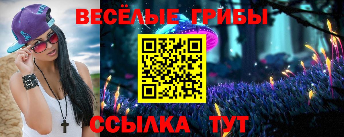 Галлюциногенные грибы Psilocybe Бор