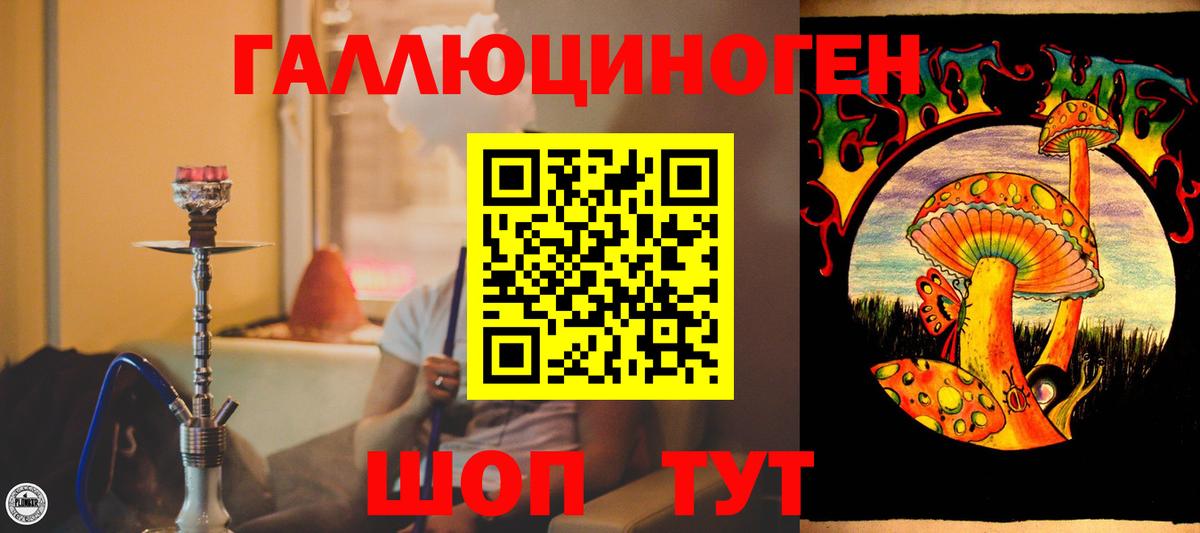 Бор  Псилоцибиновые грибы MAGIC MUSHROOMS  Вход с VPN 